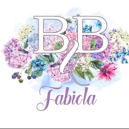 Fabiola B & B Marino Exterior photo
